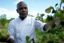 Загрузить изображение в средство просмотра галереи, Гражданство Антигуа и Барбуда за долю Antigua Hermitage Bay - AAAA ADVISER LLC