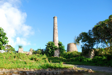 Загрузить изображение в средство просмотра галереи, Гражданство Сент-Кис и Невис за долю Carino Hamilton - AAAA ADVISER LLC