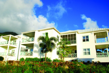 Загрузить изображение в средство просмотра галереи, Гражданство Сент-Кис и Невис за долю Carino Hamilton - AAAA ADVISER LLC