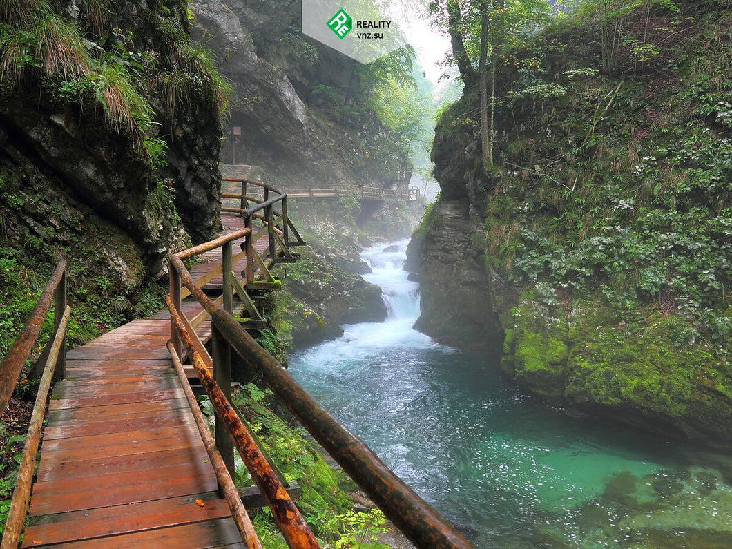 ВНЖ в Словении - (ALTCOINS, BITCOIN)