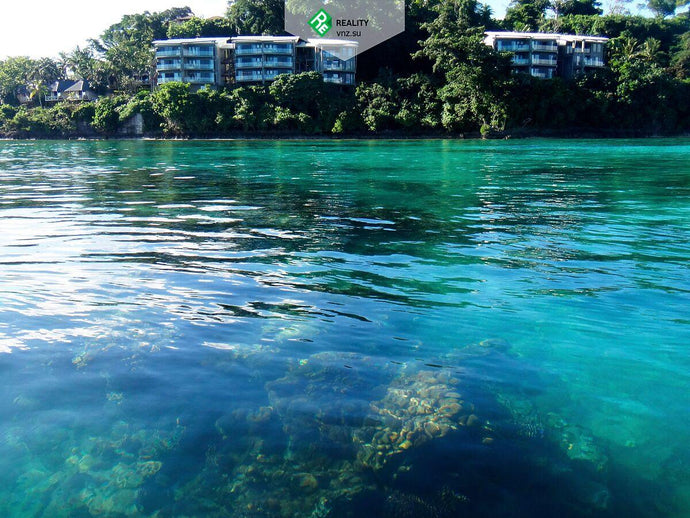 Купить Паспорт Вануату VU - AAAA ADVISER LLC