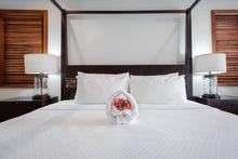 Загрузить изображение в средство просмотра галереи, Гражданство Антигуа и Барбуда за долю Nonsuch Bay - AAAA ADVISER LLC
