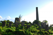 Загрузить изображение в средство просмотра галереи, Гражданство Сент-Кис и Невис за долю Carino Hamilton - AAAA ADVISER LLC
