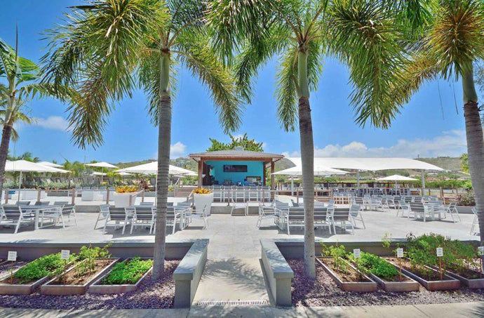 Гражданство Сент-Кис и Невис за долю Royal St Kitts - AAAA ADVISER LLC