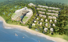 Загрузить изображение в средство просмотра галереи, Гражданство Сент-Кис и Невис за приобретение Seaview Garden - AAAA ADVISER LLC
