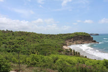 Загрузить изображение в средство просмотра галереи, Недвижимость Гренада LOT-GD06 - AAAA ADVISER LLC
