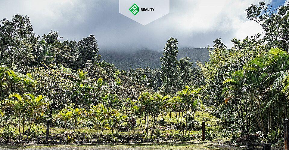 2021 Бизнес Иммиграция Доминика - AAAA ADVISER LLC