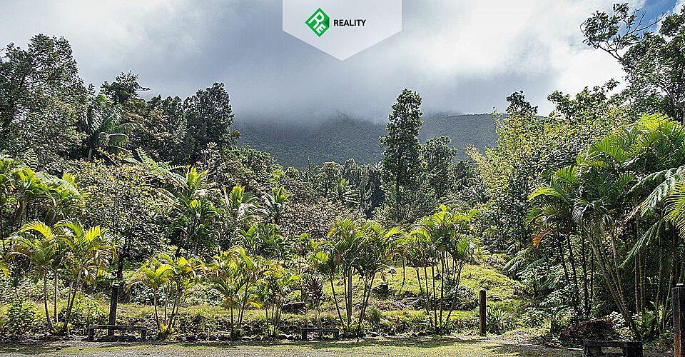 2021 Инвестиционное Гражданство Доминики - AAAA ADVISER LLC